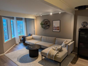 Nice and spacious apartment in a quiet area